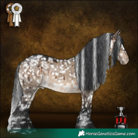 Horse Color:White Spotted Brown Dun Appaloosa Brindle 