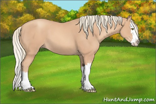 Horse Color:Gold Champagne Splash