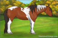 Horse Color:Buckskin Tobiano 