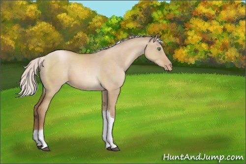 Horse Color:Silver Grullo Pearl Tobiano Rabicano 
