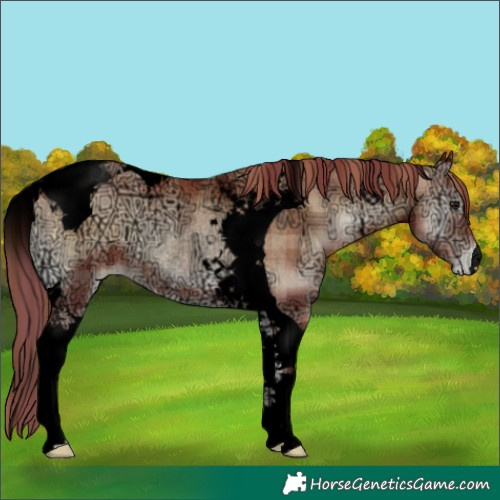 Horse Color:Void Plaid  Brown Ice Pearl Onyx Tobiano Rabicano 