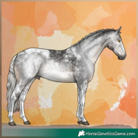 Horse Color:Gray Silver Brown Tobiano Rabicano 