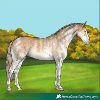Horse Color:White Spotted Chocolate Palomino Dun Mushroom Brindle 