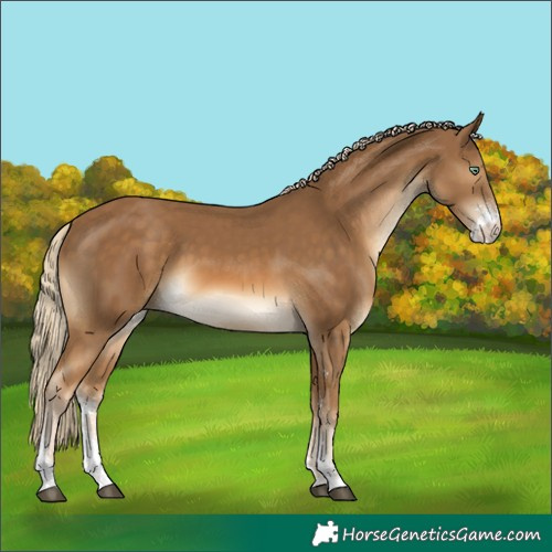Horse Color:Chocolate Palomino Mushroom Sabino 
