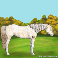 Horse Color:Amber Cream Champagne Sabino Tobiano Frame Appaloosa  and Sable Cream Champagne Sabino Tobiano Frame Appaloosa 
