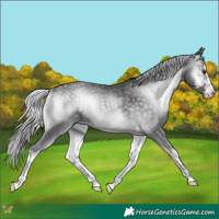 Horse Color:White Spotted Silver Smoky Blue Onyx Chinchilla 