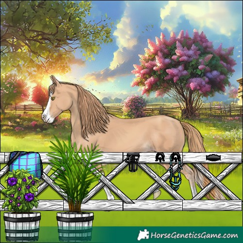 Horse Color:Gold Champagne Splash 