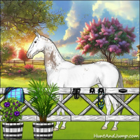 Horse Color:White Spotted Silver Grullo