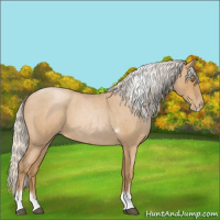 Horse Color:Silver Blue Roan Pearl Tobiano Frame 