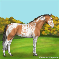Horse Color:Bay Splash Tobiano Varnish  and Bay Splash Tobiano Varnish 