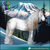 Horse Color:Gray White Spotted Liver Chestnut Ice Appaloosa 