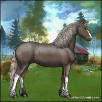 Horse Color:Silver Black 