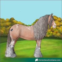 Horse Color:Bay Splash Tobiano Varnish and Bay Splash Tobiano Varnish