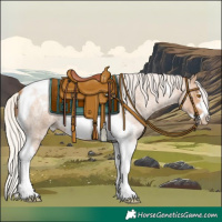 Horse Color:Silver Blue Roan Pearl Tobiano Frame 