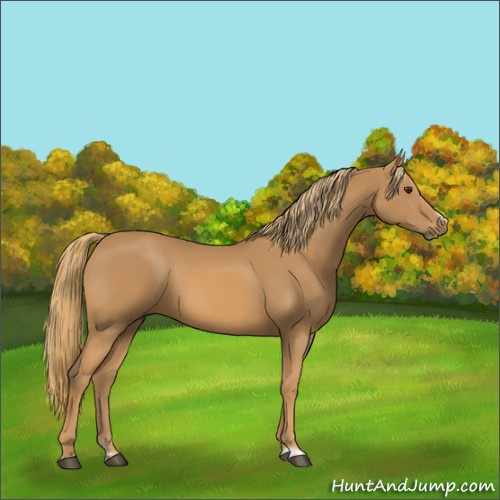 Horse Color:Chestnut Frame