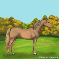 Horse Color:Chestnut Frame 