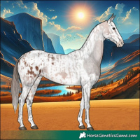 Horse Color:Bay Splash Tobiano Appaloosa  and Bay Splash Tobiano Appaloosa 
