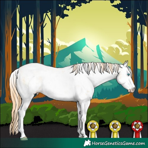 Horse Color:White Spotted Buckskin Pearl Sabino 