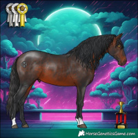 Horse Color:Brown 