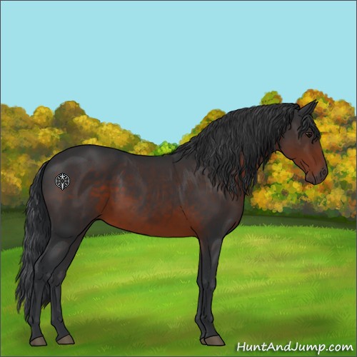 Horse Color:Brown 