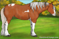 Horse Color:Bay Splash Tobiano Varnish and Silver Bay Splash Tobiano Varnish