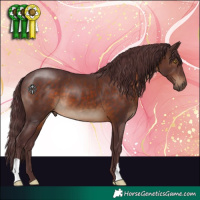 Horse Color:Chocolate Brown 