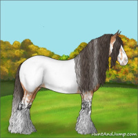 Horse Color:Bay Splash Tobiano Near Fewspot  and Bay Splash Near Fewspot 