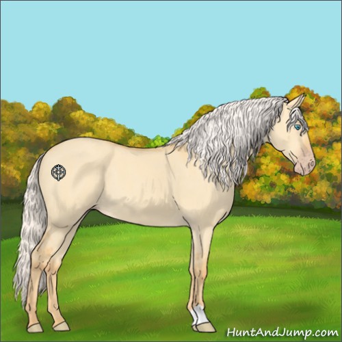 Horse Color:Silver Amber Cream Champagne Dun 