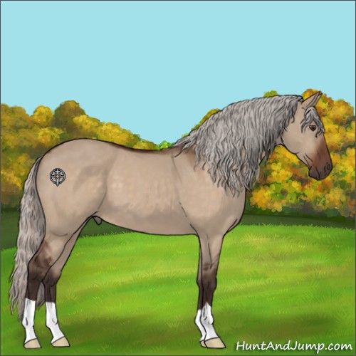 Horse Color:Silver Brown Dun 