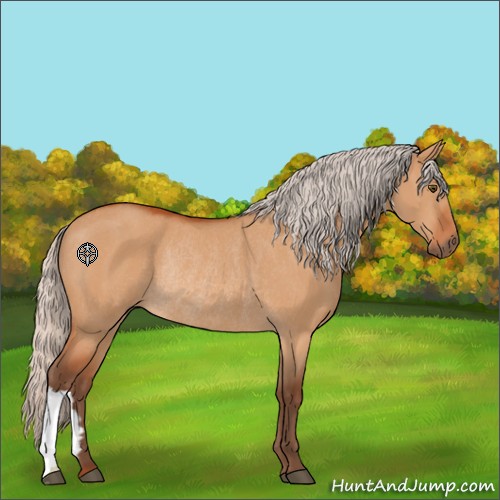 Horse Color:Silver Bay Dun Rabicano 