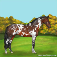 Horse Color:White Spotted Brown Mushroom 