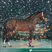 Horse Color:Bay Mushroom 