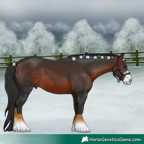 Horse Color:Brown Sabino 