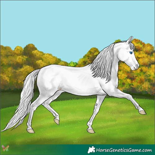 Horse Color:Platinum White Spotted Chocolate Perlino Splash