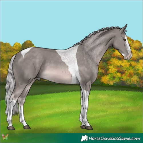 Horse Color:Platinum Chocolate Palomino Splash Tobiano 