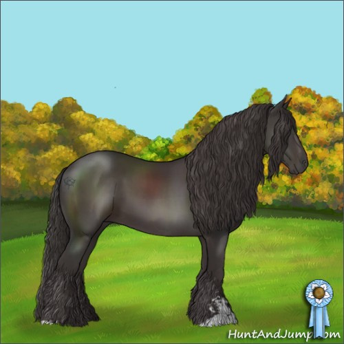 Horse Color:Smoky Black Sabino 