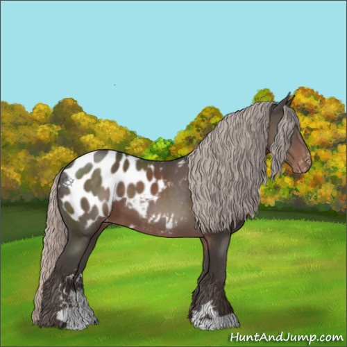 Horse Color:Silver Black Sabino Appaloosa 