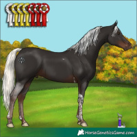 Horse Color:Liver Chestnut Mushroom Tobiano 