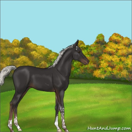 Horse Color:Liver Chestnut Mushroom Tobiano 