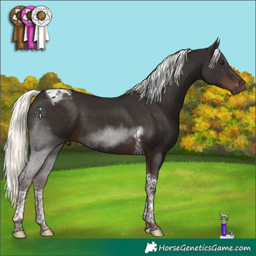Horse Color:Liver Chestnut Mushroom Tobiano 