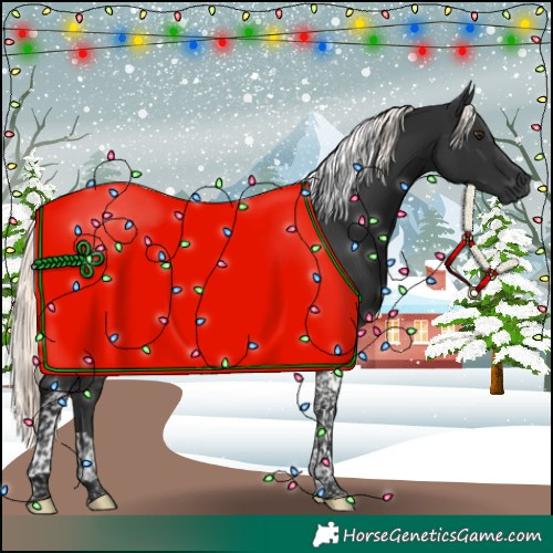 Horse Color:Liver Chestnut Mushroom Tobiano