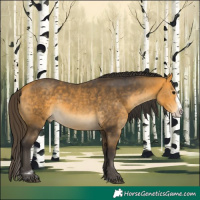 Horse Color:Buckskin Splash 