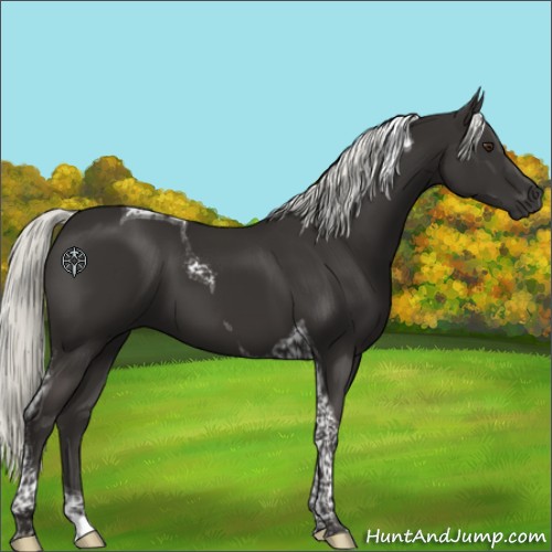 Horse Color:Liver Chestnut Mushroom Tobiano 
