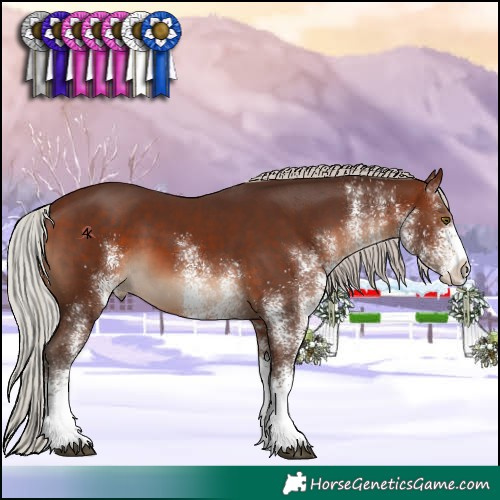 Horse Color:White Spotted Silver Brown 