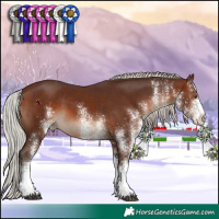 Horse Color:White Spotted Silver Brown