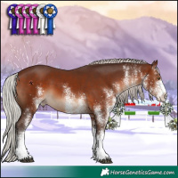 Horse Color:White Spotted Silver Brown 
