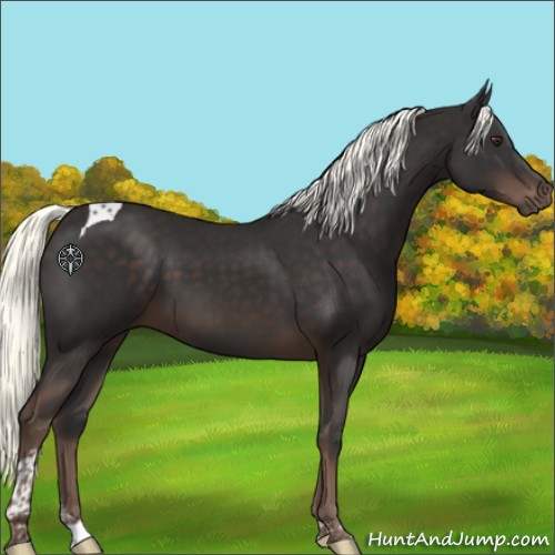 Horse Color:Liver Chestnut Mushroom Tobiano 