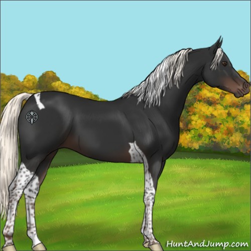Horse Color:Liver Chestnut Mushroom Tobiano 