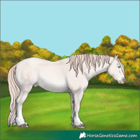 Horse Color:Perlino Splash Tobiano 