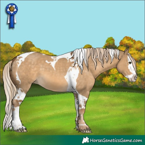 Horse Color:Chocolate Palomino Dun Splash Tobiano 